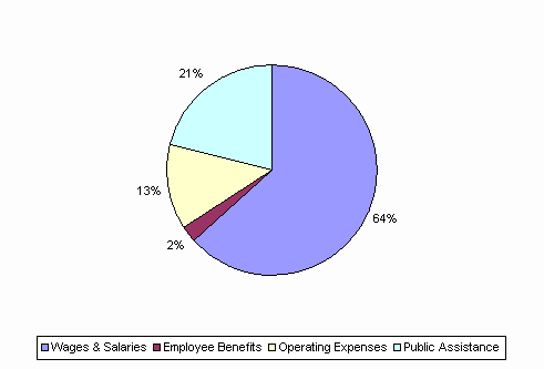 Pie Chart: Wages & Salaries=64%, Employee Benefits=2%, Operating Expenses=13%, Public Assistance=21%