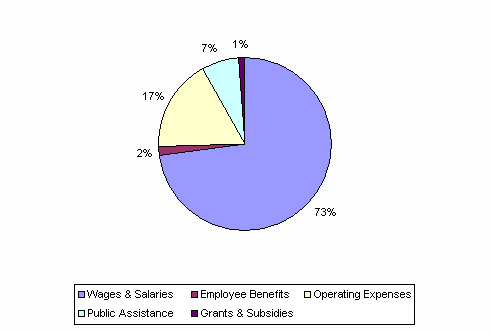 Pie Chart: Wages & Salaries=73%, Employee Benefits=2%, Operating Expenses=17%, Public Assistance=7%, Grants & Subsidies=1%