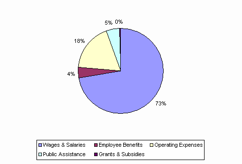 Pie Chart: Wages & Salaries=73%, Employee Benefits=4%, Operating Expenses=18%, Public Assistance=5%, Grants & Subsidies=0%