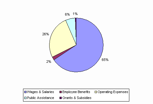 Pie Chart: Wages & Salaries=65%, Employee Benefits=2%, Operating Expenses=26%, Public Assistance=6%, Grants & Subsidies=1%