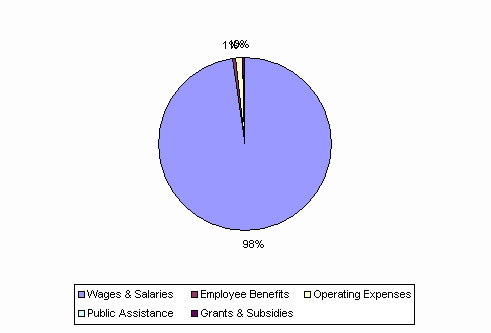 Pie Chart: Wages & Salaries=98%, Employee Benefits=1%, Operating Expenses=1%, Public Assistance=0%, Grants & Subsidies=0%