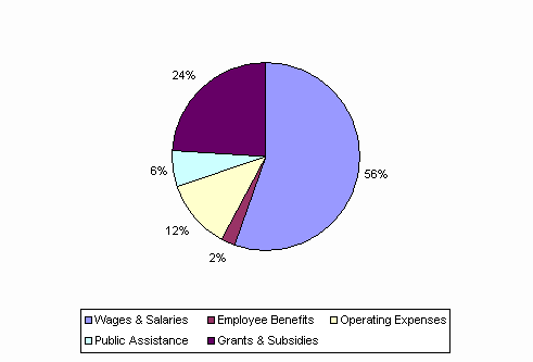 Pie Chart: Wages & Salaries=63%, Employee Benefits=3%, Operating Expenses=13%, Public Assistance=-7%, Grants & Subsidies=28%