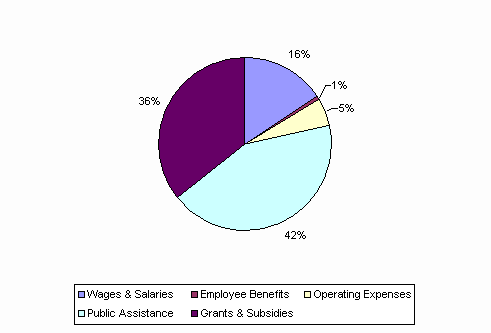 Pie Chart: Wages & Salaries=16%, Employee Benefits=1%, Operating Expenses=5%, Public Assistance=42%, Grants & Subsidies=36%