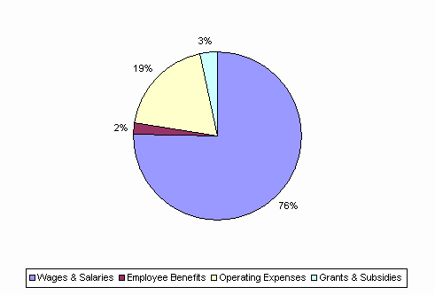 Pie Chart: Wages & Salaries=76%, Employee Benefits=2%, Operating Expenses=19%, Grants & Subsidies=3%