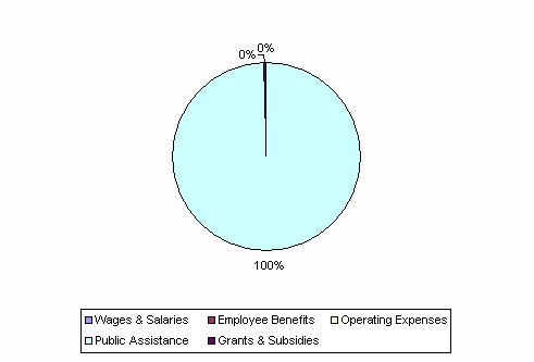 Pie Chart: Wages & Salaries=0%, Employee Benefits=0%, Operating Expenses=0%, Public Assistance=100%, Grants & Subsidies=0%