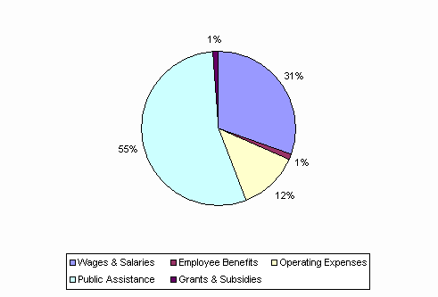 Pie Chart: Wages & Salaries=31%, Employee Benefits=1%, Operating Expenses=12%, Public Assistance=55%, Grants & Subsidies=1%