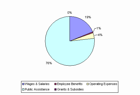 Pie Chart: Wages & Salaries=19%, Employee Benefits=1%, Operating Expenses=4%, Public Assistance=76%, Grants & Subsidies=0%