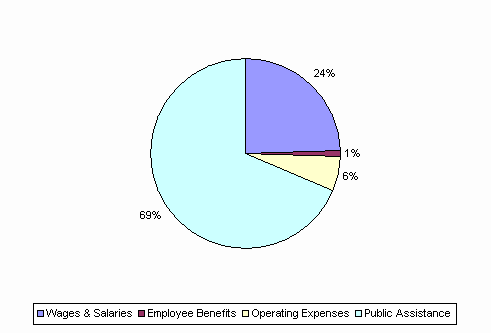 Pie Chart: Wages & Salaries=24%, Employee Benefits=1%, Operating Expenses=6%, Public Assistance=69%