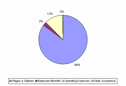 Pie Chart: Wages & Salaries=86%, Employee Benefits=2%, Operating Expenses=12%, Public Assistance=0%