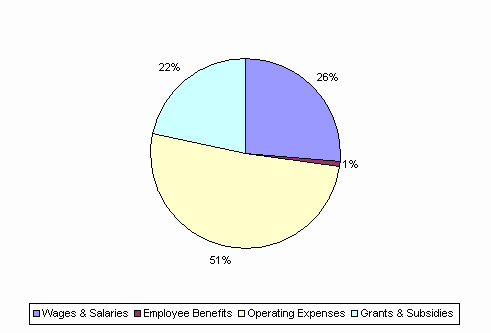 Pie Chart: Wages & Salaries=26%, Employee Benefits=1%, Operating Expenses=51%, Grants & Subsidies=22%