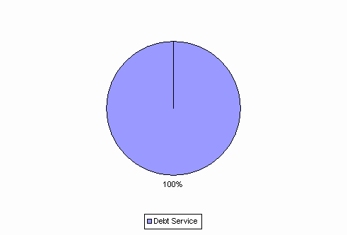 Pie Chart: Debt Service=100%