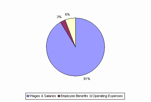 Pie Chart: Wages & Salaries=91%, Employee Benefits=3%, Operating Expenses=6%