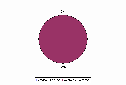 Pie Chart: Wages & Salaries=0%, Operating Expenses=100%