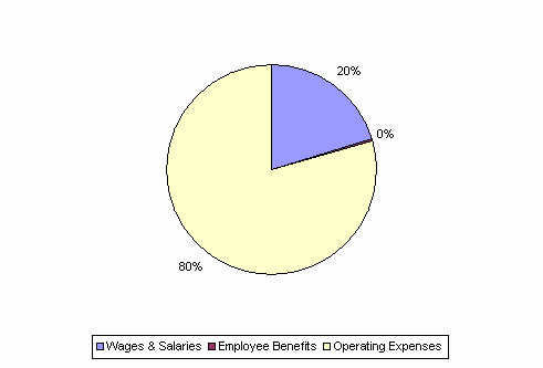 Pie Chart: Wages & Salaries=20%, Employee Benefits=0%, Operating Expenses=80%