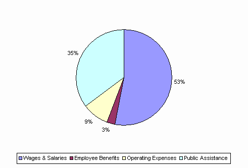 Pie Chart: Wages & Salaries=53%, Employee Benefits=3%, Operating Expenses=9%, Public Assistance=35%