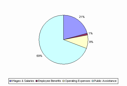 Pie Chart: Wages & Salaries=21%, Employee Benefits=1%, Operating Expenses=9%, Public Assistance=69%