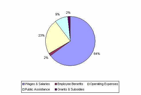 Pie Chart: Wages & Salaries=64%, Employee Benefits=2%, Operating Expenses=23%, Public Assistance=9%, Grants & Subsidies=2%