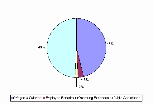 Pie Chart: Wages & Salaries=46%, Employee Benefits=3%, Operating Expenses=2%, Public Assistance=49%