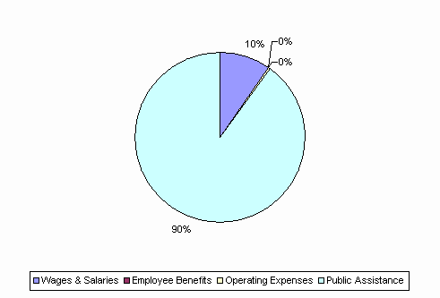 Pie Chart: Wages & Salaries=10%, Employee Benefits=0%, Operating Expenses=0%, Public Assistance=90%