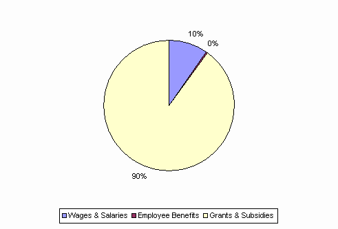 Pie Chart: Wages & Salaries=10%, Employee Benefits=0%, Grants & Subsidies=90%