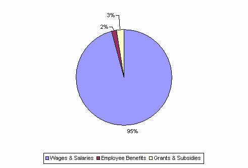 Pie Chart: Wages & Salaries=95%, Employee Benefits=2%, Grants & Subsidies=3%