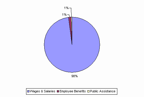 Pie Chart: Wages & Salaries=98%, Employee Benefits=1%, Public Assistance=1%