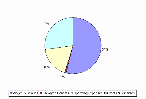 Pie Chart: Wages & Salaries=54%, Employee Benefits=1%, Operating Expenses=18%, Grants & Subsidies=27%