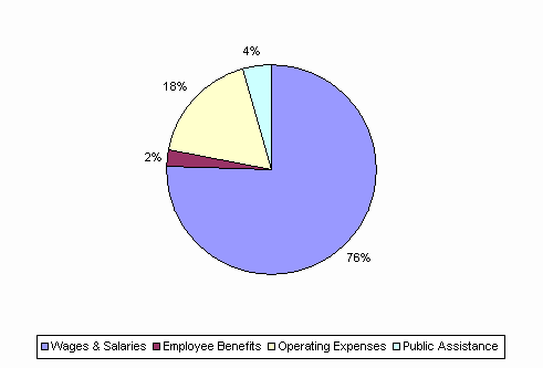 Pie Chart: Wages & Salaries=76%, Employee Benefits=2%, Operating Expenses=18%, Public Assistance=4%