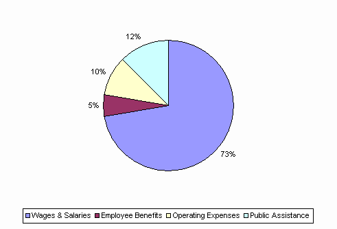 Pie Chart: Wages & Salaries=73%, Employee Benefits=5%, Operating Expenses=10%, Public Assistance=12%