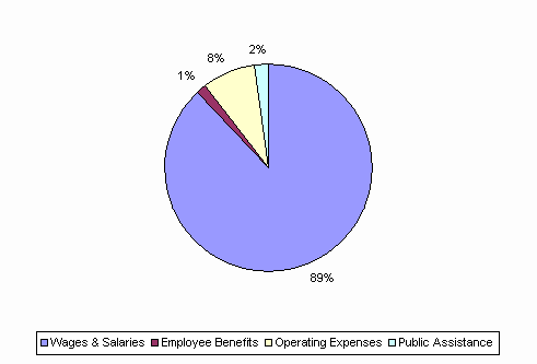 Pie Chart: Wages & Salaries=89%, Employee Benefits=1%, Operating Expenses=8%, Public Assistance=2%