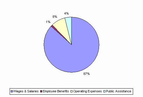 Pie Chart: Wages & Salaries=87%, Employee Benefits=1%, Operating Expenses=8%, Public Assistance=4%