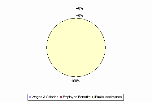 Pie Chart: Wages & Salaries=0%, Employee Benefits=0%, Public Assistance=100%