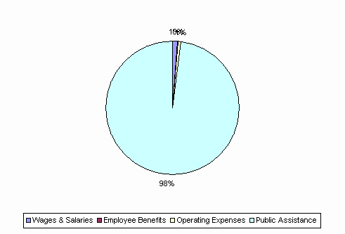 Pie Chart: Wages & Salaries=1%, Employee Benefits=0%, Operating Expenses=1%, Public Assistance=98%