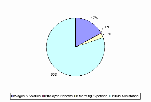 Pie Chart: Wages & Salaries=17%, Employee Benefits=0%, Operating Expenses=3%, Public Assistance=80%