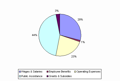 Pie Chart: Wages & Salaries=29%, Employee Benefits=1%, Operating Expenses=23%, Public Assistance=44%, Grants & Subsidies=3%