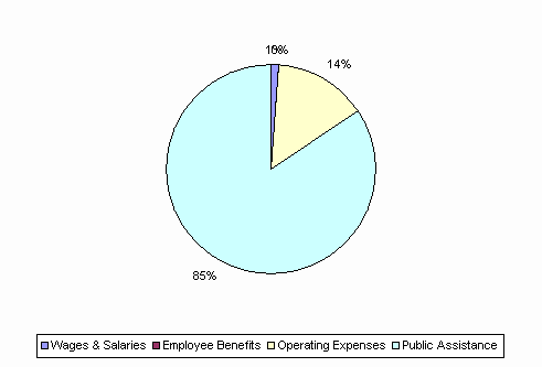Pie Chart: Wages & Salaries=1%, Employee Benefits=0%, Operating Expenses=14%, Public Assistance=85%