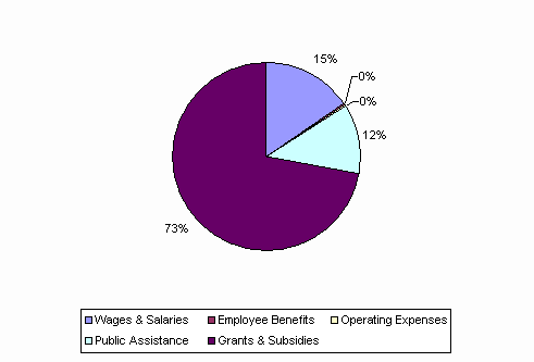 Pie Chart: Wages & Salaries=15%, Employee Benefits=0%, Operating Expenses=0%, Public Assistance=12%, Grants & Subsidies=73%