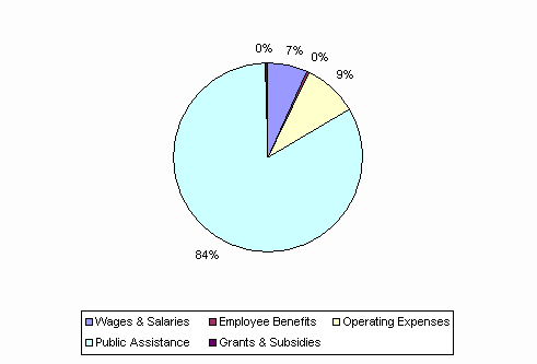 Pie Chart: Wages & Salaries=7%, Employee Benefits=0%, Operating Expenses=9%, Public Assistance=84%, Grants & Subsidies=0%