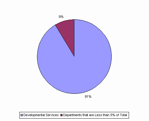 Pie Chart: Developmental Services=91%, Departments that are Less than 5% of Total=9%