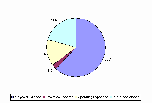 Pie Chart: Wages & Salaries=62%, Employee Benefits=3%, Operating Expenses=15%, Public Assistance=20%