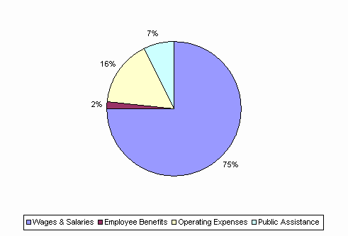 Pie Chart: Wages & Salaries=75%, Employee Benefits=2%, Operating Expenses=16%, Public Assistance=7%