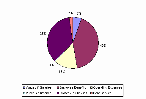 Pie Chart: Wages & Salaries=5%, Employee Benefits=43%, Operating Expenses=15%, Public Assistance=0%, Grants & Subsidies=35%, Debt Service=2%