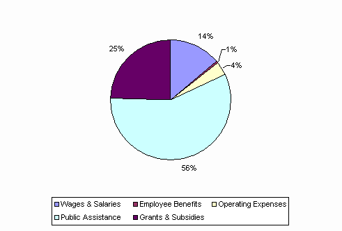 Pie Chart: Wages & Salaries=14%, Employee Benefits=1%, Operating Expenses=4%, Public Assistance=56%, Grants & Subsidies=25%