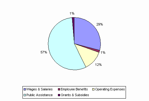 Pie Chart: Wages & Salaries=29%, Employee Benefits=1%, Operating Expenses=12%, Public Assistance=57%, Grants & Subsidies=1%