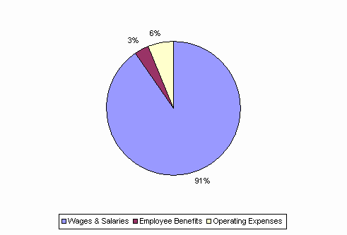 Pie Chart: Wages & Salaries=91%, Employee Benefits=3%, Operating Expenses=6%