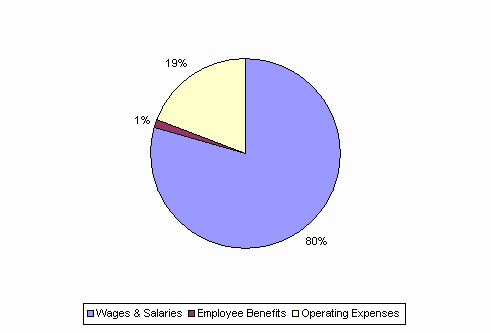 Pie Chart: Wages & Salaries=80%, Employee Benefits=1%, Operating Expenses=19%