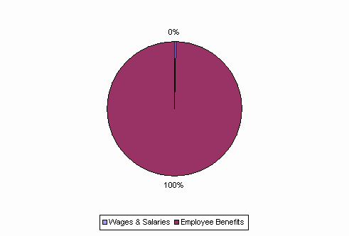 Pie Chart: Wages & Salaries=0%, Employee Benefits=100%