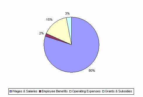 Pie Chart: Wages & Salaries=80%, Employee Benefits=2%, Operating Expenses=15%, Grants & Subsidies=3%