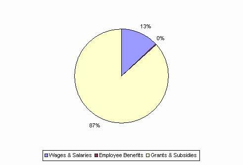 Pie Chart: Wages & Salaries=13%, Employee Benefits=0%, Grants & Subsidies=87%