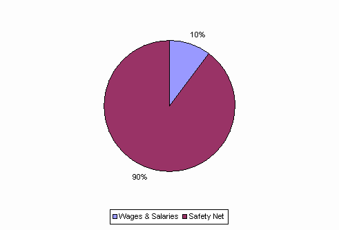 Pie Chart: Wages & Salaries=10%, Safety Net=90%